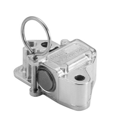 Mua Car Timing Chain Tensioner LR051008 LR095472 C2Z28428 C2Z20682 AJ813898 AJ812419 For Land Rover Range Rover Sport Vogue Jaguar sản xuất trực tuyến